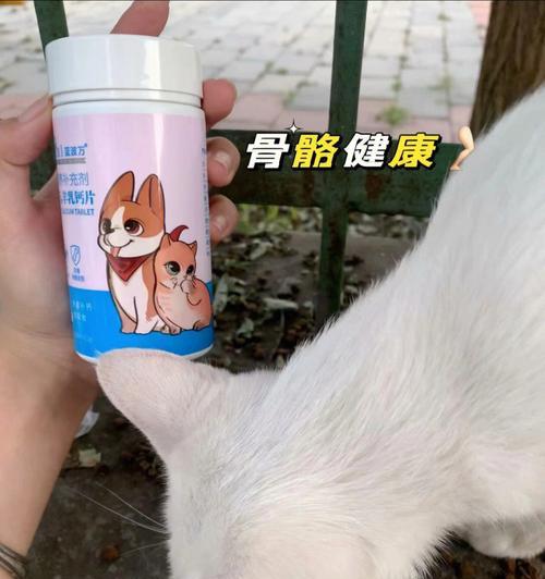 猫咪骨头积液问题详解（宠物照护必备）