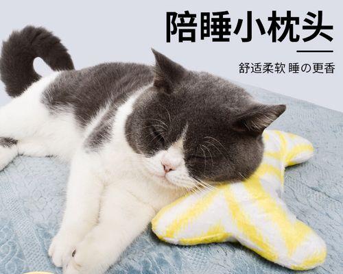 猫咪骨头积液问题详解（宠物照护必备）