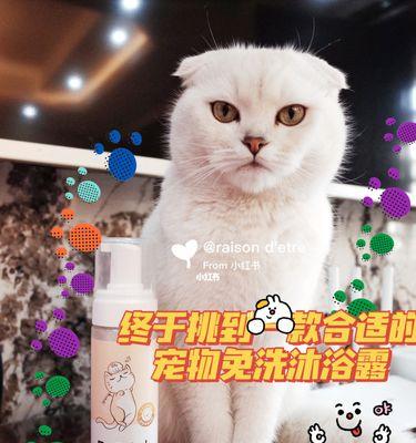 猫咪误喝沐浴露的危害（如何避免宠物误喝洗浴用品）