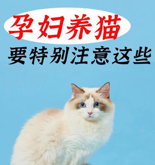 猫咪寄养，让宠物无忧（解决出门在外的主人们的困扰）