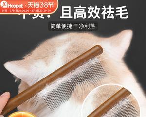 用猫咪毛刷打造宠物健康美容（学会正确使用猫咪毛刷）