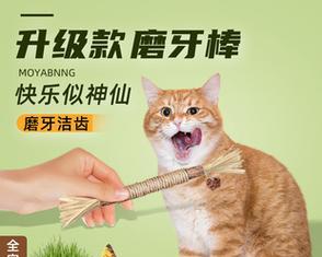 猫咪磨牙棒——帮助猫咪健康成长的必备品（以猫咪磨牙棒图片为例）