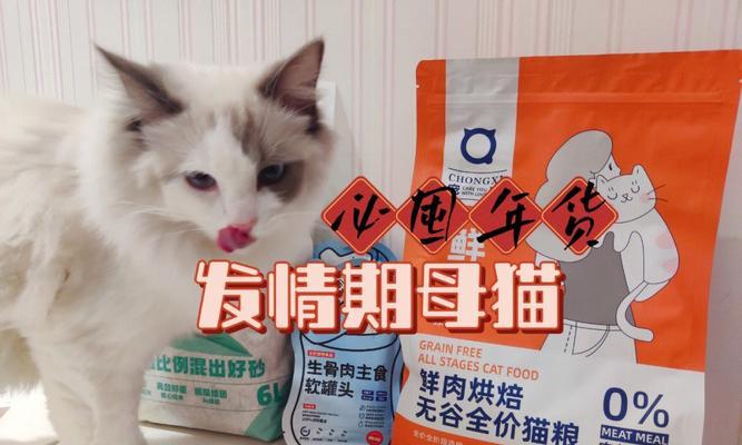 猫咪奶糕的食用技巧（宠物饲养者必备的猫咪奶糕吃法指南）