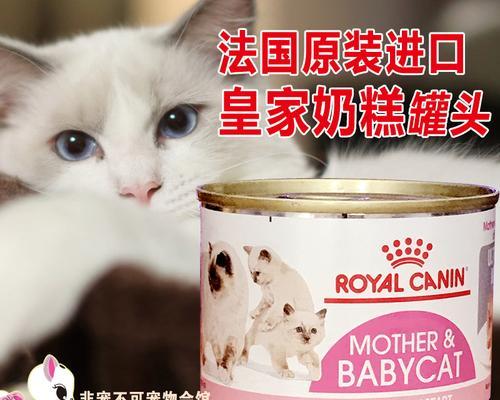 猫咪奶糕的食用技巧（宠物饲养者必备的猫咪奶糕吃法指南）