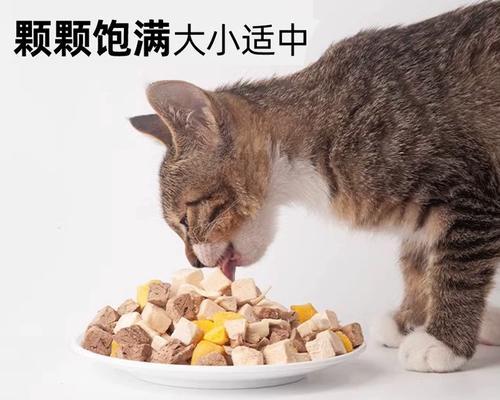 猫咪能否吃鸡肉肠（探讨宠物食品的安全性与适宜性）