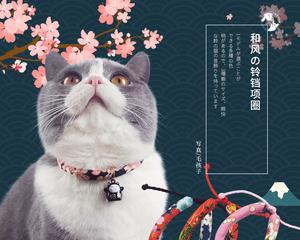 猫咪为什么怕铃铛（揭秘猫咪对铃铛的恐惧原因）