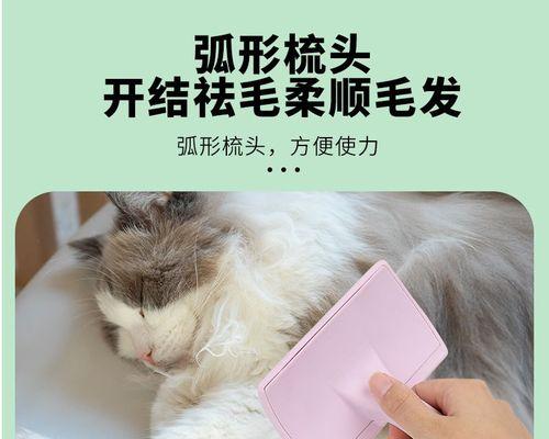 如何选择适合猫咪的梳子（宠物专用梳子选购指南）