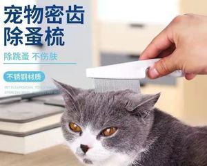 如何选择适合猫咪的梳子（宠物专用梳子选购指南）