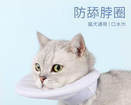 猫咪自我清洁的奇妙之处（探秘宠物猫咪如何舔自己的肚子）