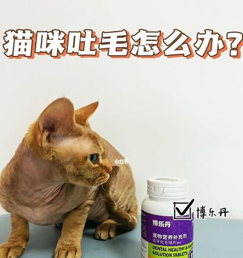 猫咪吐毛不止，宠物养护要注意的（如何帮助猫咪排除体内的毛球）