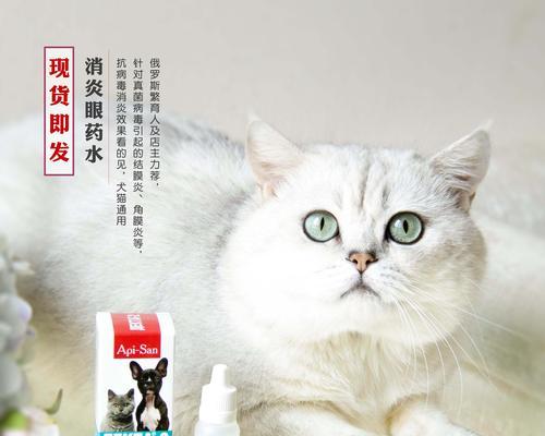 给宠物猫咪吃消炎药的注意事项（了解猫咪消炎药的正确使用方法）