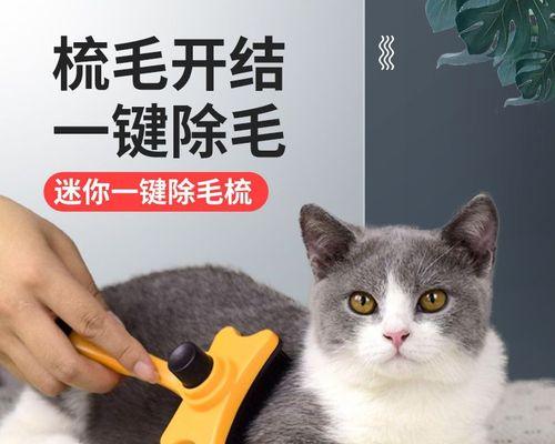 如何给小猫梳毛（选择正确的梳子）