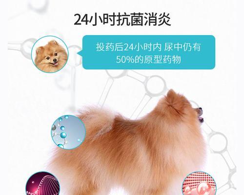 狗狗鼻塞怎么办（掌握这些方法）