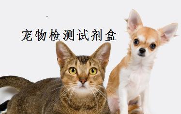 猫咪传播冠状病毒的风险（探究宠物与疾病的关系）