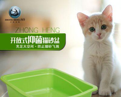 猫咪的生活必需品——猫砂盆（为什么猫咪需要猫砂盆）