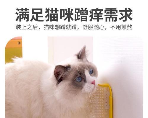 揭秘猫咪痒的原因和解决方法（宠物主人必知的猫咪痒症状和治疗技巧）