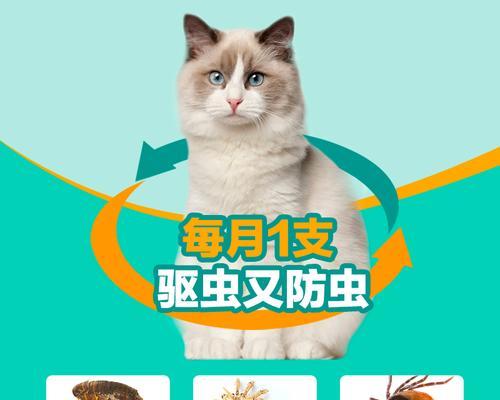 猫咪身上痒痒（解决猫咪痒痒问题）