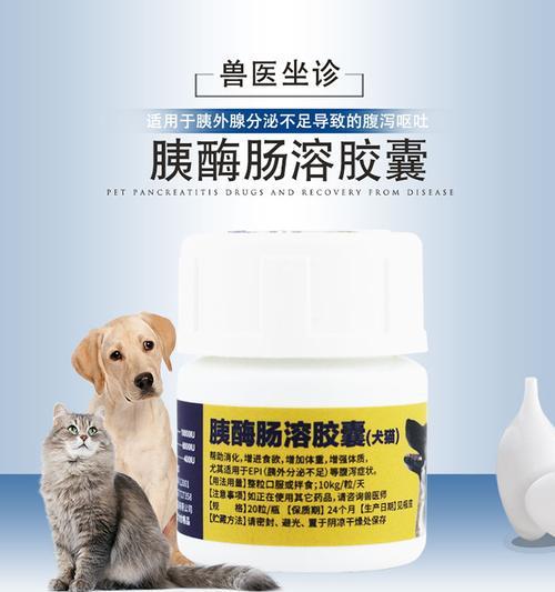 猫咪胰腺炎的传染性及预防方法（宠物主人必看）