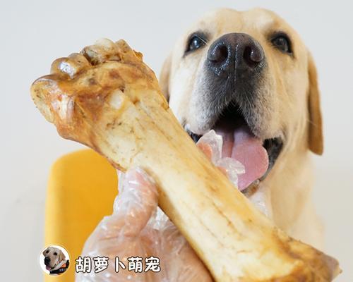 磨牙棒适合狗狗吃吗（宠物健康必备）