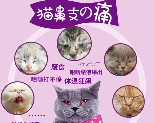 猫咪鼻支康（以宠物为主）