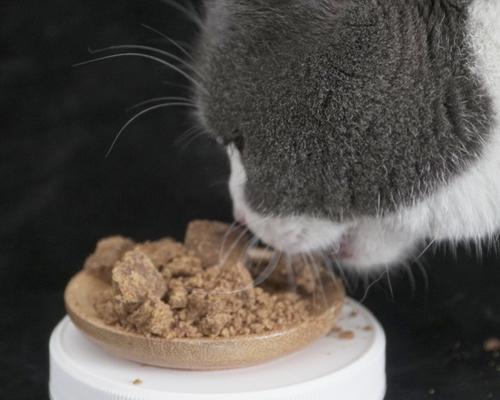 以牛磺酸提高宠物猫咪智力（探究牛磺酸对猫咪智力的影响及使用方法）