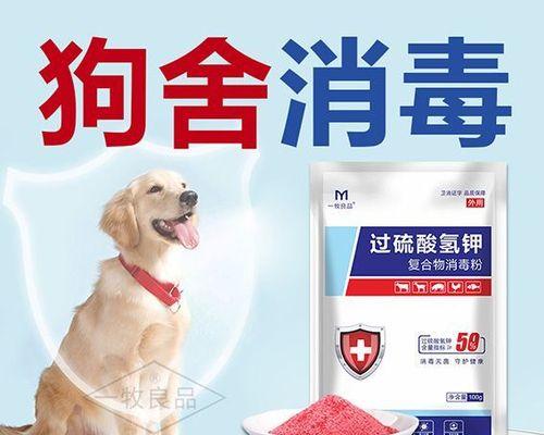 宠物的健康问题——如何预防和治疗犬瘟细小（犬瘟细小的病因、症状及预防措施）