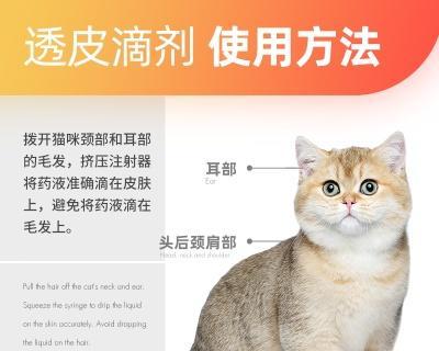 宠物猫咪的驱虫攻略（如何给猫咪安全有效地驱虫）