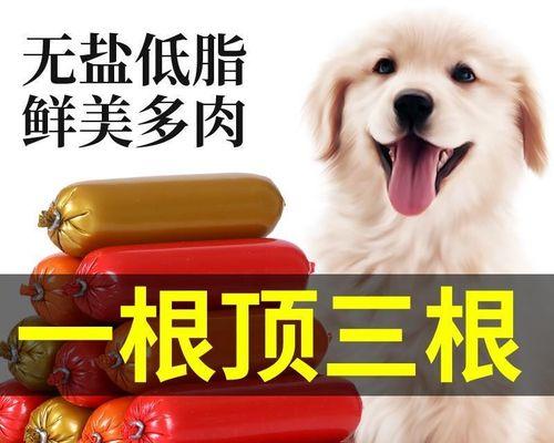 狗狗得肠膜炎怎么办？如何快速识别和处理？