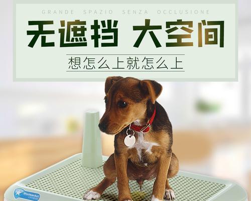 狗狗的便盆怎么使用？正确训练步骤是什么？