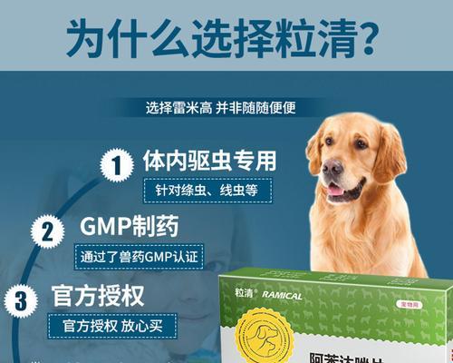 狗狗的驱虫药叫什么？如何正确选择和使用？