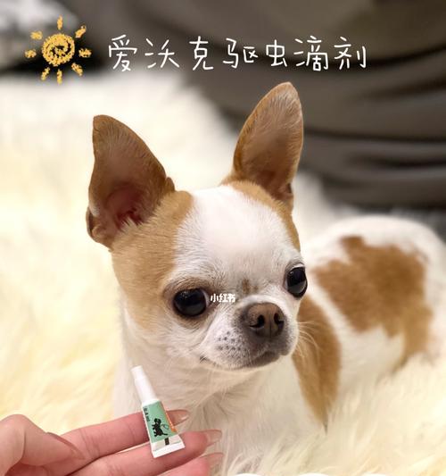 狗狗定期驱虫多少钱？如何选择合适的驱虫产品？