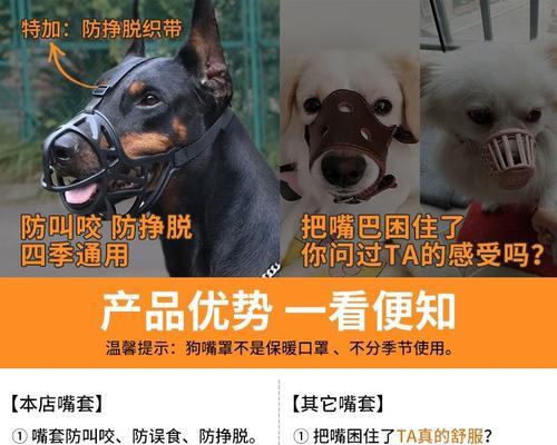 狗狗对主人吼怎么办？如何正确处理狗狗的攻击性行为？