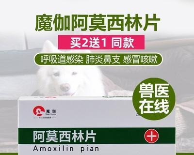 狗狗感冒了应该注射哪种药物？常见问题解答？