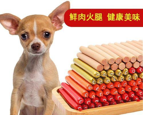 狗狗几个月开始吃粮食？如何正确过渡到固体食物？