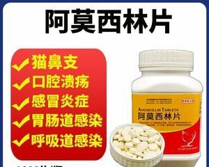 狗狗可以吃甲硝唑片吗？使用时需要注意什么？