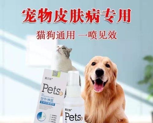 狗狗烂眼皮应该使用哪种药物？如何正确处理？