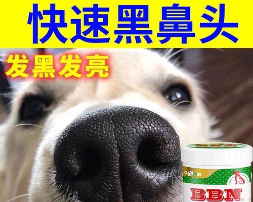 狗狗亮毛壮骨吃什么好？如何通过饮食改善宠物健康？