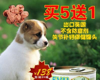 狗狗湿粮一天应该吃几次？如何正确喂食湿粮？