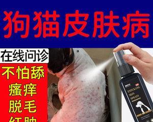 狗狗湿疹用什么药？如何选择合适的治疗方案？