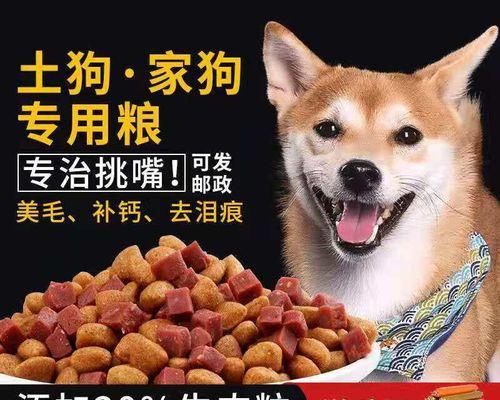 狗狗稀饭怎么配狗粮？营养均衡的食谱是什么？