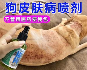 狗狗有真菌涂什么药？如何正确选择治疗真菌感染的药物？