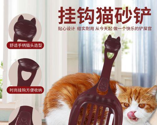 怎么让猫咪适应使用豆腐猫砂？有哪些有效方法？