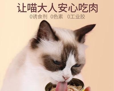 1个月的小猫吃罐头吐了怎么办？常见原因及解决方法是什么？