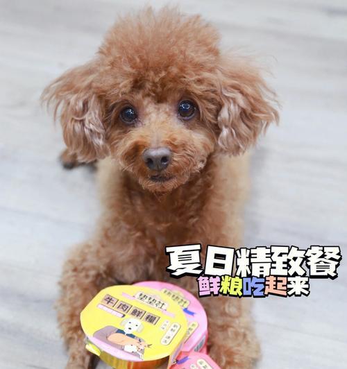 20天的小狗喂什么吃啊？如何正确喂养幼犬？