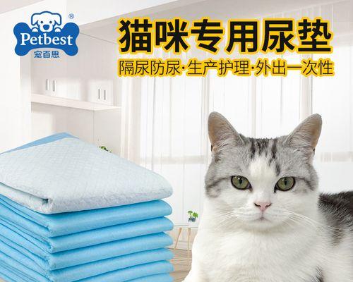 20天小猫能自己拉尿吗？训练小猫上厕所的正确方法是什么？