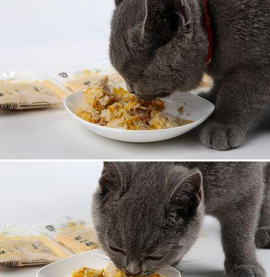 3个月大猫咪适合吃哪些零食？零食选择有哪些注意事项？