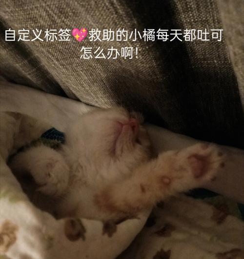 狗狗吃了妈咪爱后呻吟是什么原因？如何解决？