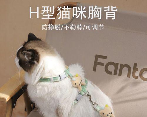 带猫咪外出需要带些什么？必备物品清单大公开！