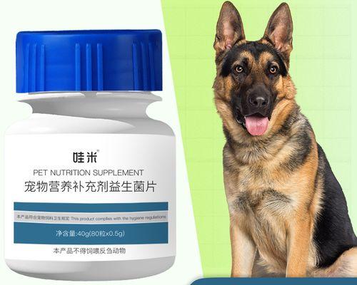 给狗狗用的用品有什么用？如何选择适合狗狗的日常用品？