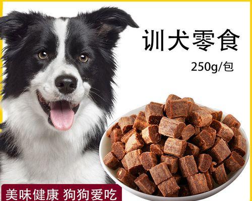 给狗狗用的用品有什么用？如何选择适合狗狗的日常用品？